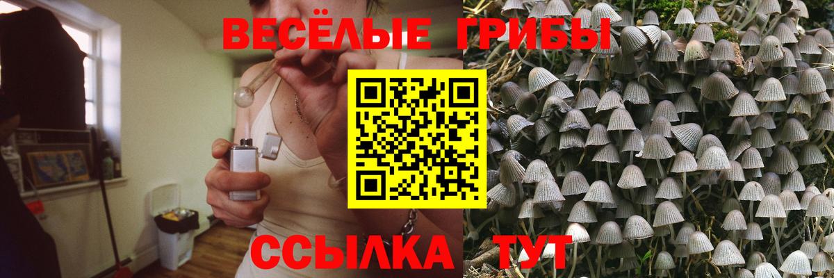 где купить наркоту  Галлюциногенные грибы мухоморы  Советская Гавань  Вход с VPN  Галлюциногенные грибы прущие грибы 