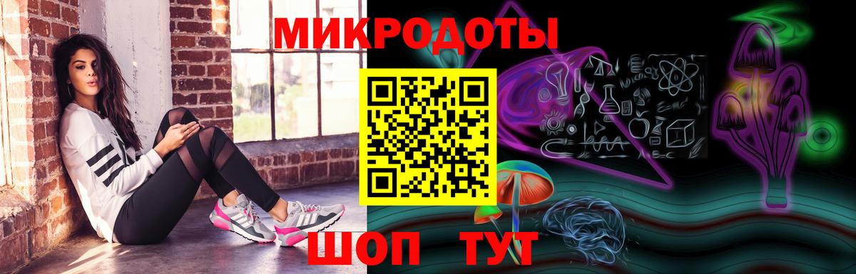 Галлюциногенные грибы Psilocybe Советская Гавань